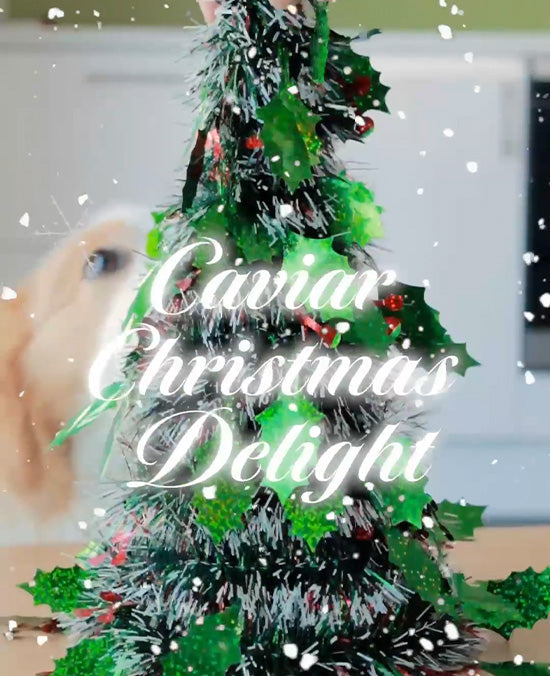Festive Dog Treat Recipe: Caviar Christmas Delight with Kōrure Pets
&ndash; Korure Pets
