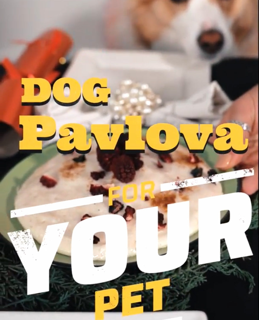 Pet-Friendly Pavlova Recipe: A Festive Treat Just for Your Dog! – Korure Pets