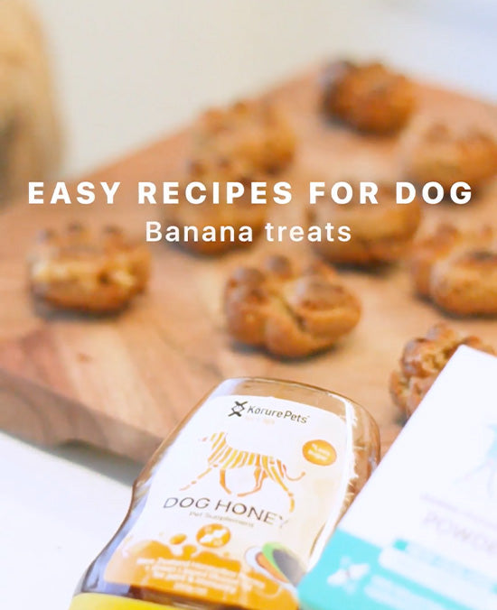 Illustration of Paleo Dog Treats With Banana Macadamia