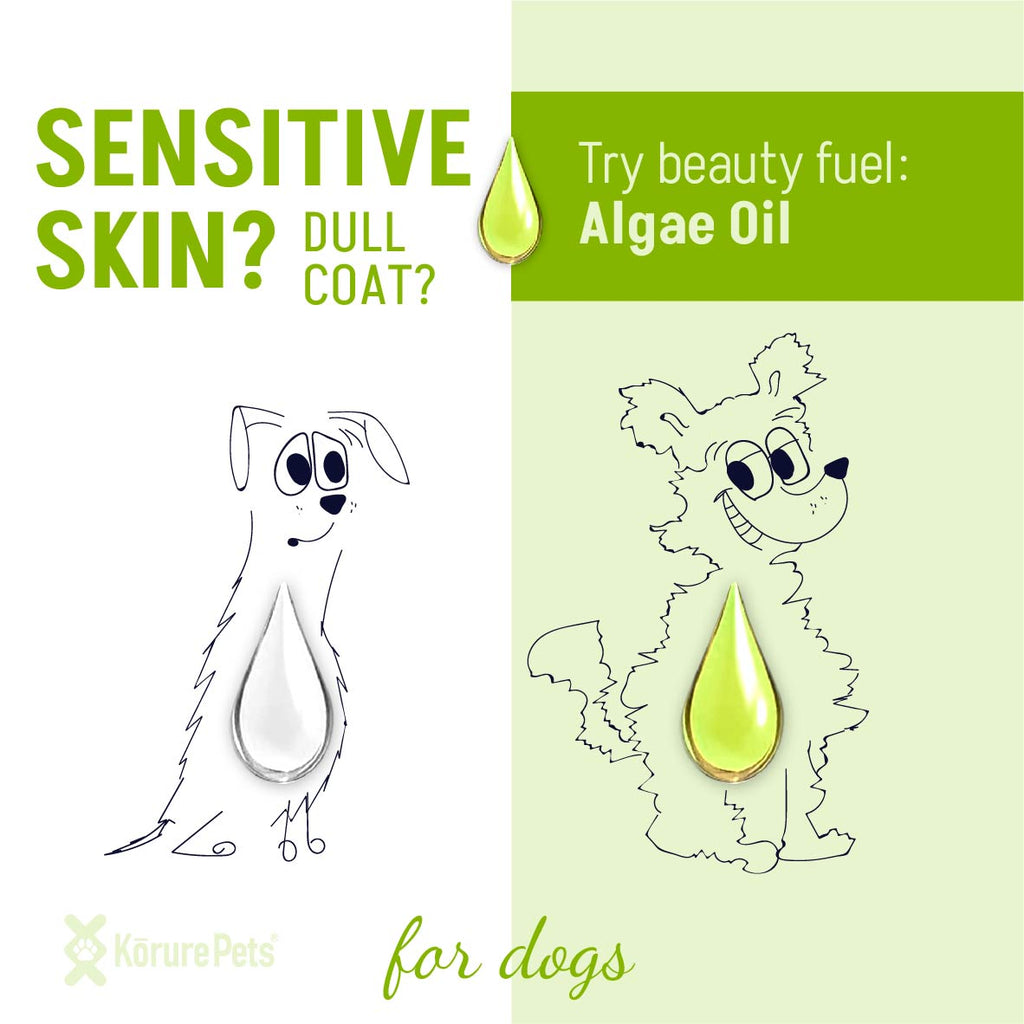 Christmas Green Bundle *DOG*