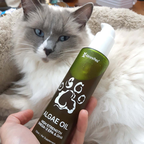 Cat Sustainable Omega-3 Oil