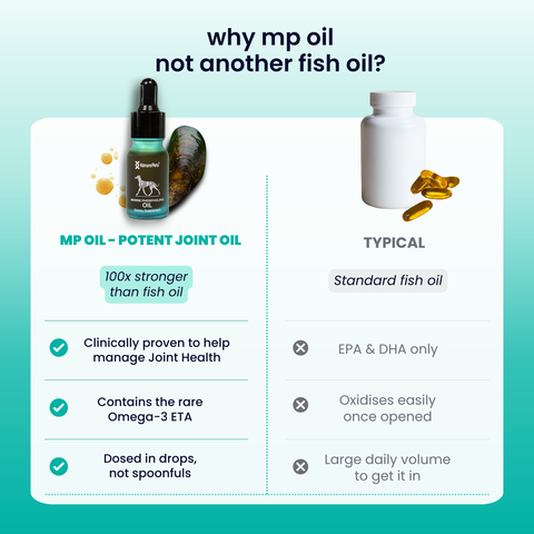 Dog NZ Green Lipped Mussel Oil