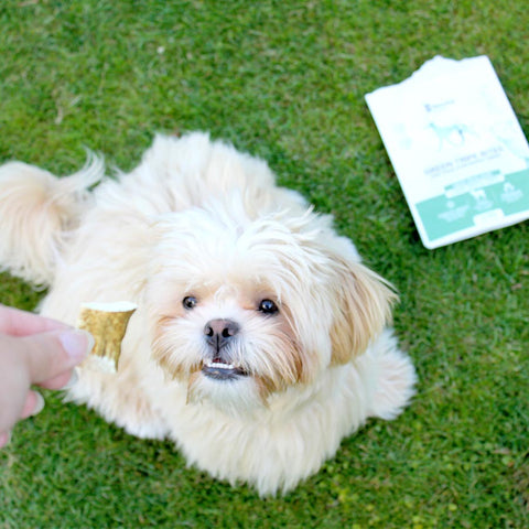 Christmas 3 Treats Bundle *DOG*