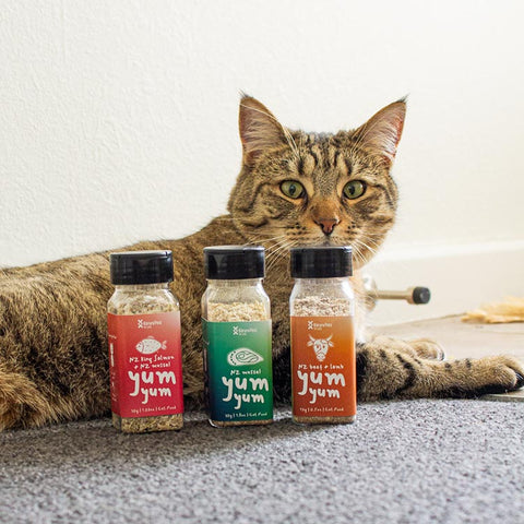 Cat yum yum NZ King Salmon