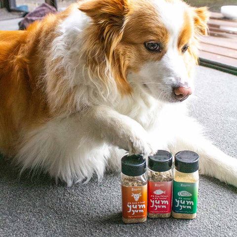 Dog yum yum NZ King Salmon