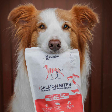 Dog Salmon Bites