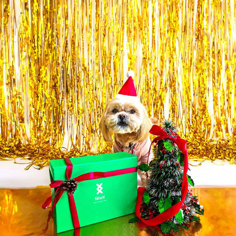 Christmas 3 Treats Bundle *DOG*