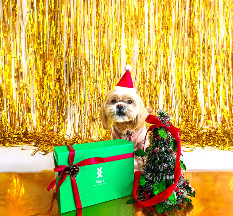 Christmas Green Bundle *DOG*