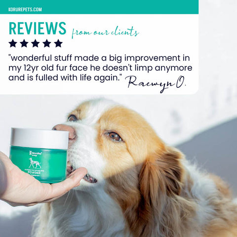 Dog NZ Green Lipped Mussel Powder – Korure Pets