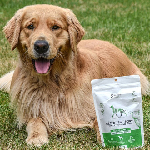 Christmas 3 Treats Bundle *DOG*