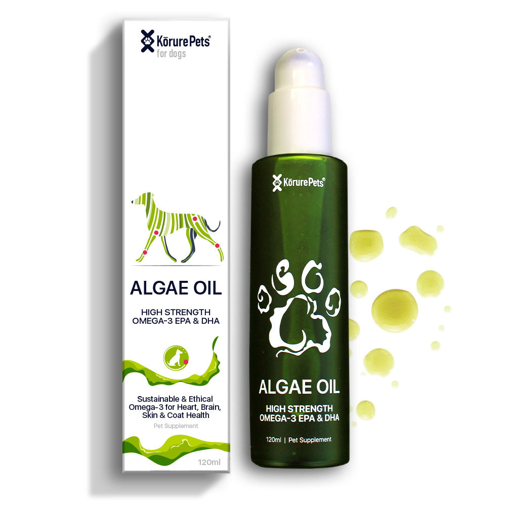 Dog Sustainable Omega-3 Oil – Korure Pets