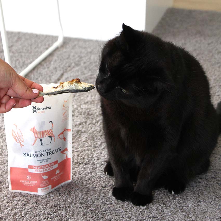 (Limited Edition) Whole King Salmon Treats - Cats
