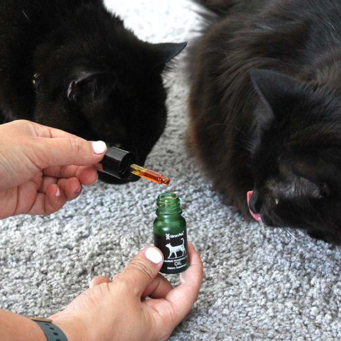 Cat NZ Green Lipped Mussel Oil
