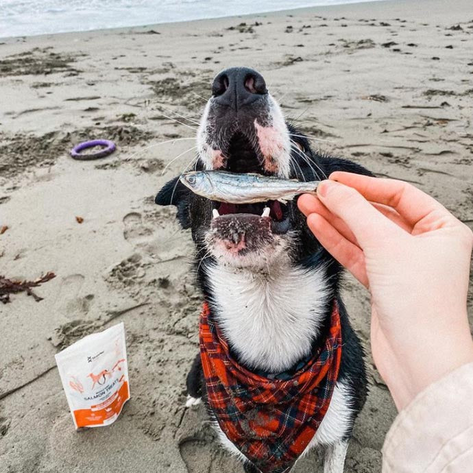 Dog Whole Salmon Treats