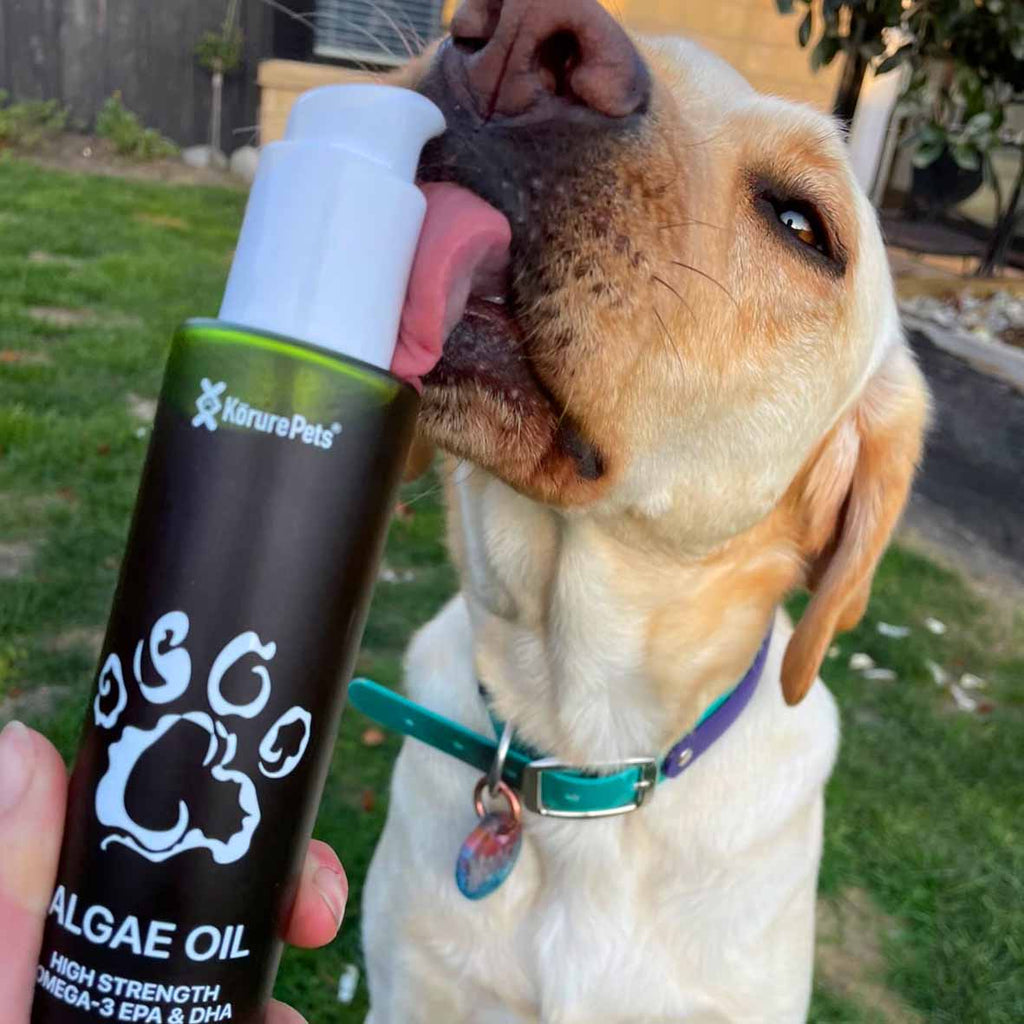 Dog Sustainable Omega-3 Oil