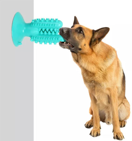 Dog Toothbrush Chew Toy With Suction