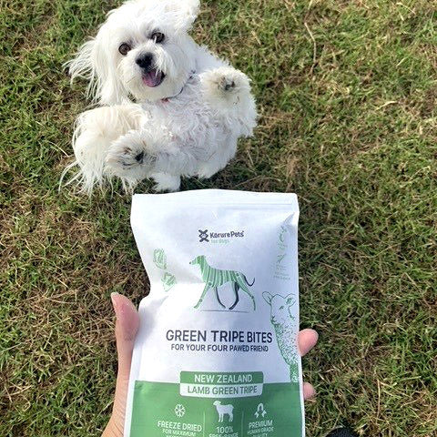 Dog Green Tripe Topper – Korure Pets